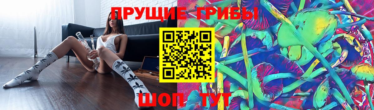 Новокубанск  Галлюциногенные грибы мухоморы  Вход с VPN 